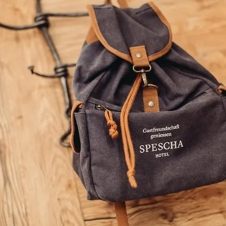 Spescha Hotel